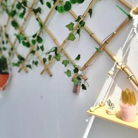 Lux & Relax Terraza Chill Out- Torres D' Oboe Appartement *